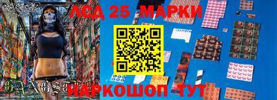 мдпв Гусев