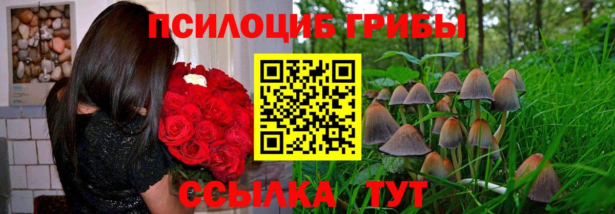 Моздок  наркотики  Вход с VPN  Псилоцибиновые грибы Psilocybine cubensis 