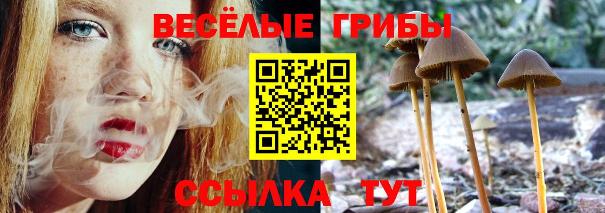 Галлюциногенные грибы ЛСД Моздок