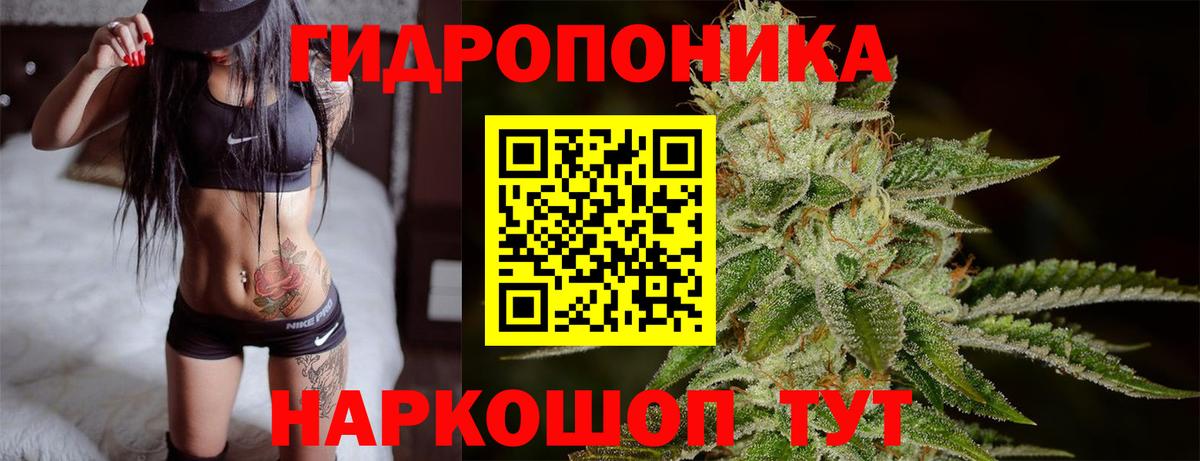 Бошки марихуана семена  Конопля Amnesia  Моздок  Бошки Шишки SATIVA & INDICA  Вход с VPN  Конопля тримм 